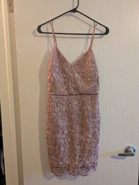Express Sleeveless Rose Lace Layover Slip Dress Size 2 Pink Spaghetti Strap